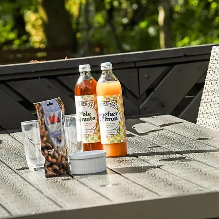 別荘 C11686-hemmet-rylevaenget-9