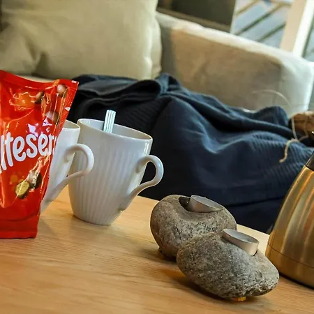 別荘 C11686-hemmet-rylevaenget-9 *